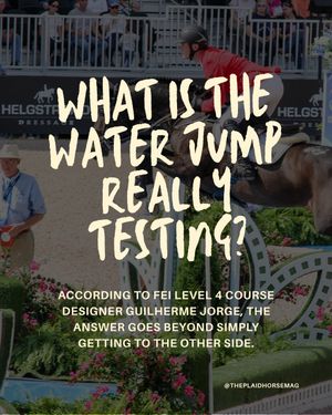 Image post by @theplaidhorsemag on Instagram