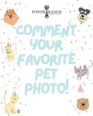 Image post by @powerranchcommunity on Instagram