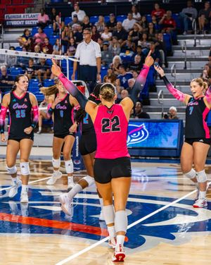 Image post by @fauvolleyball on Instagram