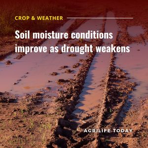 Image post by @txextension on Instagram