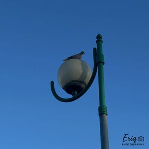 Image post by @eriq.photography on Instagram