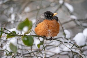 Image post by @txextension on Instagram