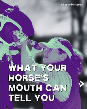 Image post by @theplaidhorsemag on Instagram