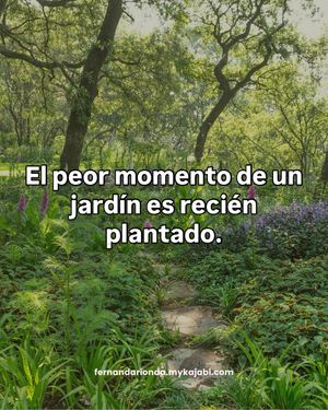 Image post by @fernandarionda on Instagram