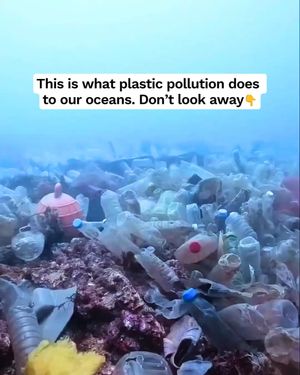 Image post by @greenpeace on Instagram