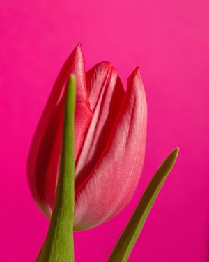 Image post by @unsplash on Instagram