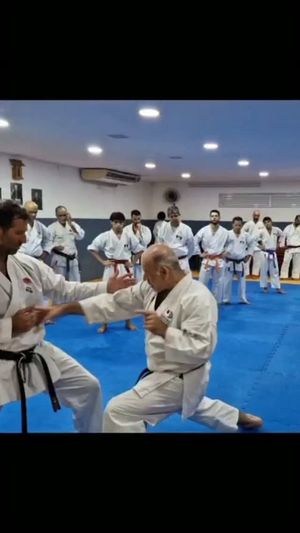 Video post by @karate.pestana.jka on Instagram