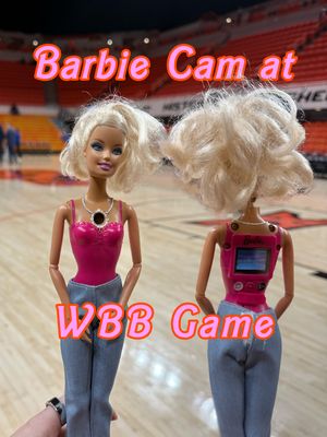 Image post by @osuwbb on Instagram