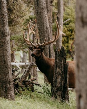 Image post by @822.visuals on Instagram