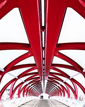 Image post by @danielzappe on Instagram