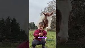 Video post by @johnlferguson on YouTube