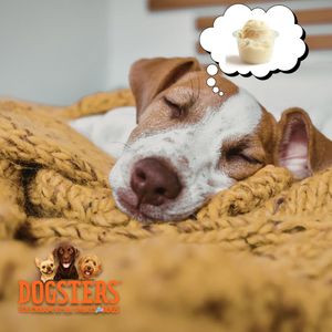 Image post by @dogstersicecream on Instagram