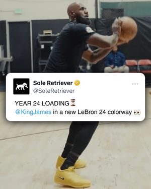 Image post by @soleretriever on Instagram