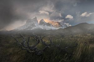 Image post by @lucagiustozzi on Instagram