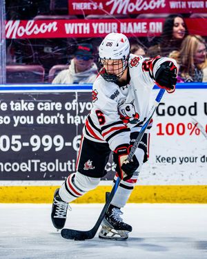 Image post by @ohlicedogs on Instagram