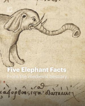 Image post by @gettymuseum on Instagram