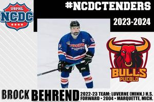 Image post by @usphlhockey on Instagram