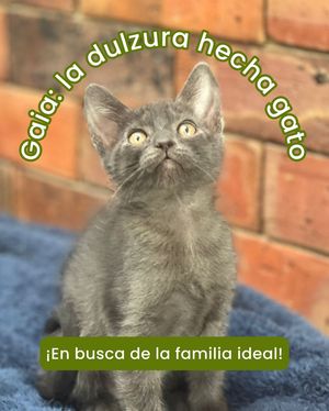 Image post by @tierradenando on Instagram