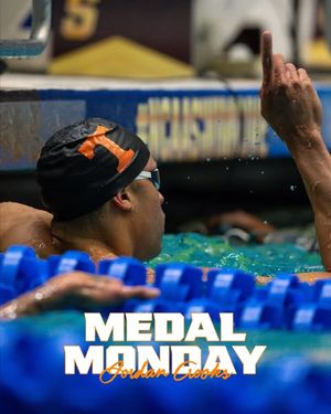Image post by @vol_swimdive on Instagram