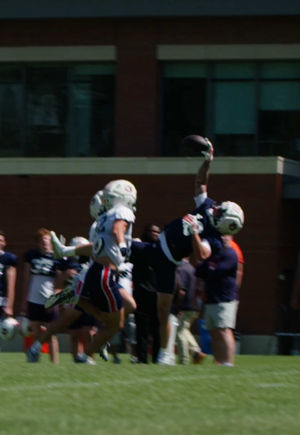 Video post by @auburnfootball on TikTok