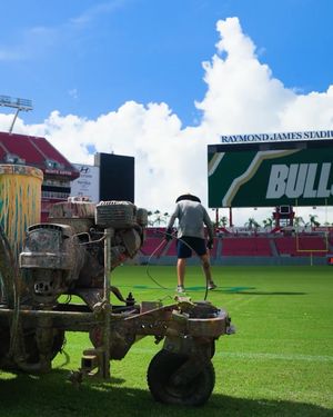 Image post by @usffootball on Instagram