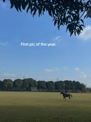 Image post by @bryceeusebio on TikTok