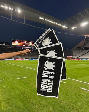 Image post by @corinthians on Instagram