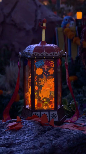 Video post by @disneyparks on TikTok