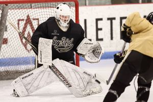 Image post by @honeybakedhc on Instagram