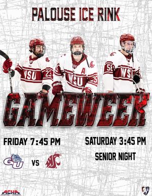 Image post by @wsu_hockey_ on Instagram