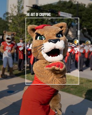 Image post by @universityofhouston on Instagram