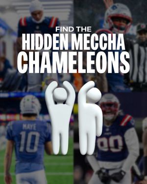 Video post by @patriots on TikTok