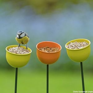 Image post by @rspb on Instagram