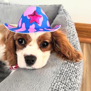Image post by @dogstersicecream on Instagram
