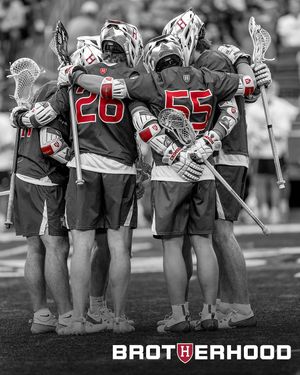 Image post by @harvardmlacrosse on Instagram
