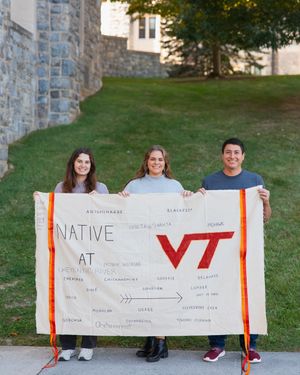 Image post by @virginia.tech on Instagram