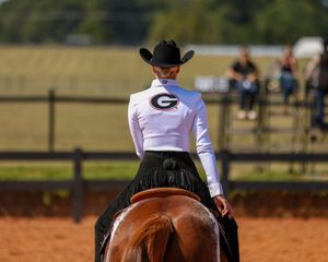 Image post by @ugaequestrian on Instagram
