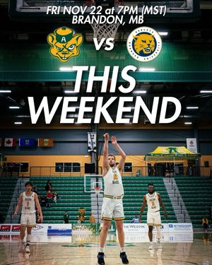 Image post by @bearsbasketball on Instagram