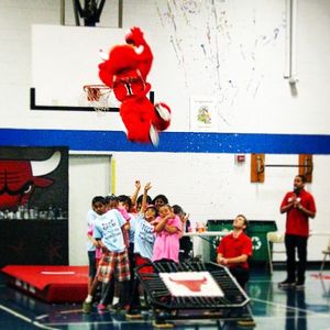 Image post by @bennythebull on Instagram