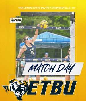 Image post by @goetbutigers on Instagram