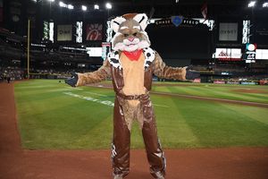 Image post by @dbacksbaxter on Instagram