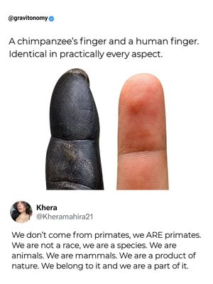 Image post by @gravitonomy on Instagram