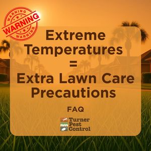 Image post by @TurnerPestControl on Facebook