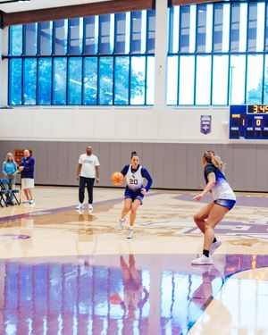 Image post by @sfa_wbb on Instagram