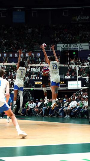 Video post by @hykchora on TikTok