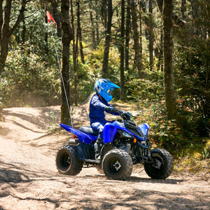 Image post by @yamahamotoraus on Instagram