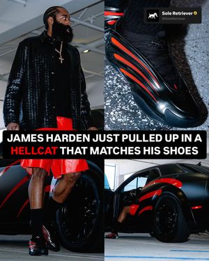 Image post by @soleretriever on Instagram