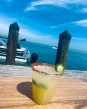 Image post by @visitsarasotacounty on Instagram