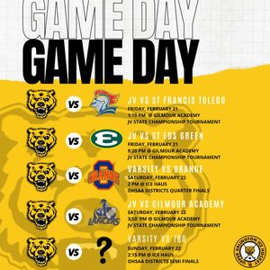 Image post by @ua_ice_hockey on Instagram