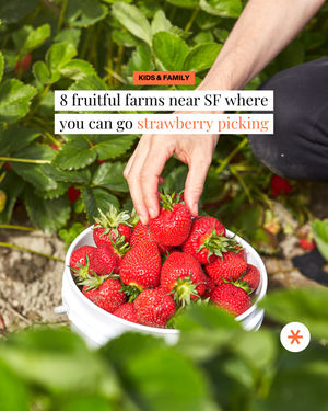 Image post by @secret_sanfrancisco on Instagram